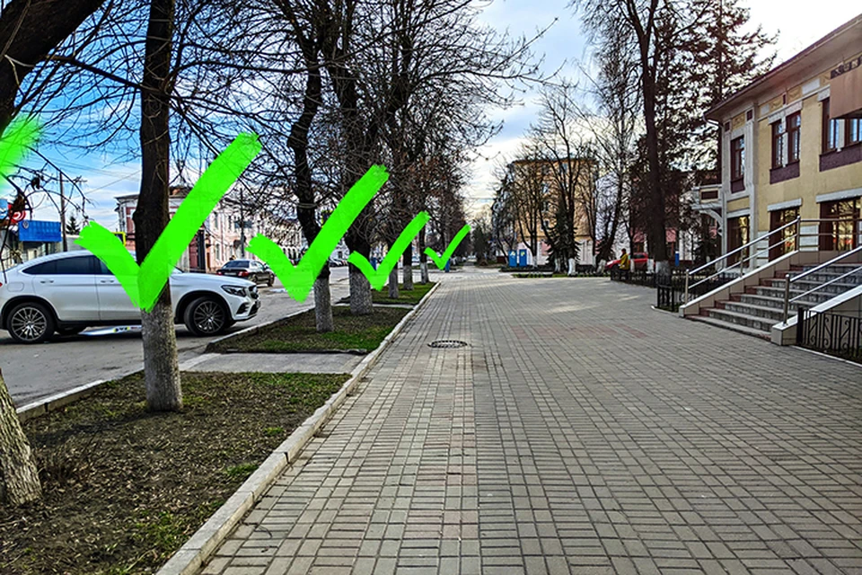 Фото: "Брянский урбанист".