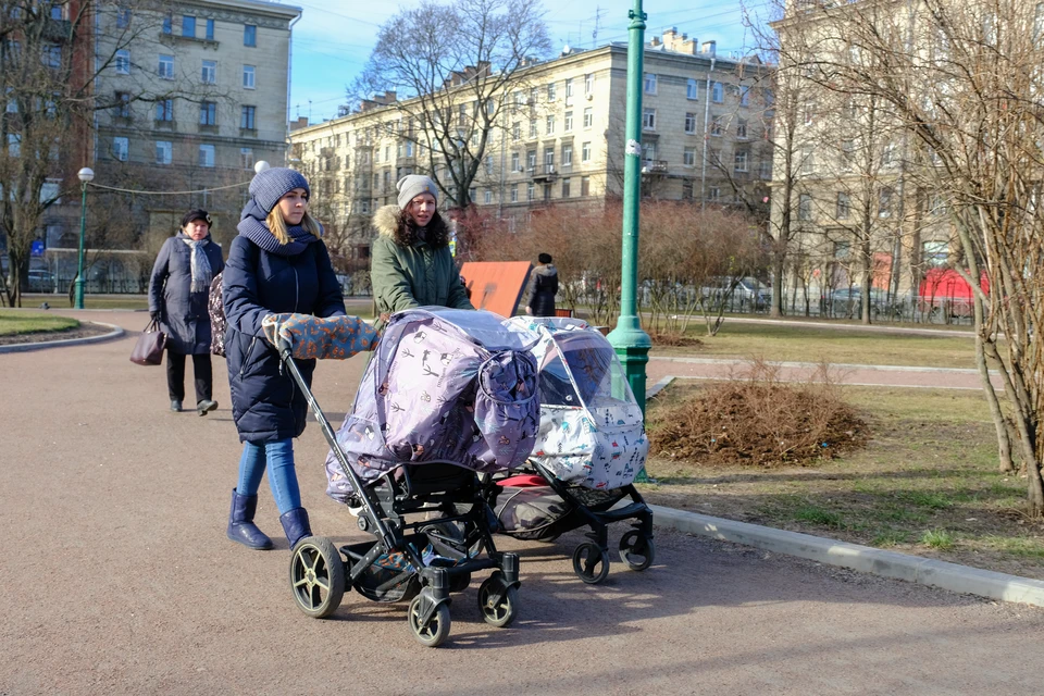 Молодые мамы смогут повысить квалификацию с помощью образовательного сертификата в Петербурге