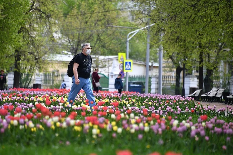 Число инфицированных коронавирусом в Москве за сутки возросло на 3190 человек