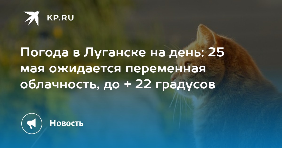 Погода в луганске на завтра. Синоптик луганск на 10. Гисметео тверь. Синоптик луганск на 10. Синоптик ру.