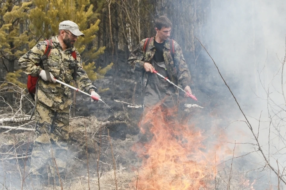 В Коми введут особый противопожарный режим