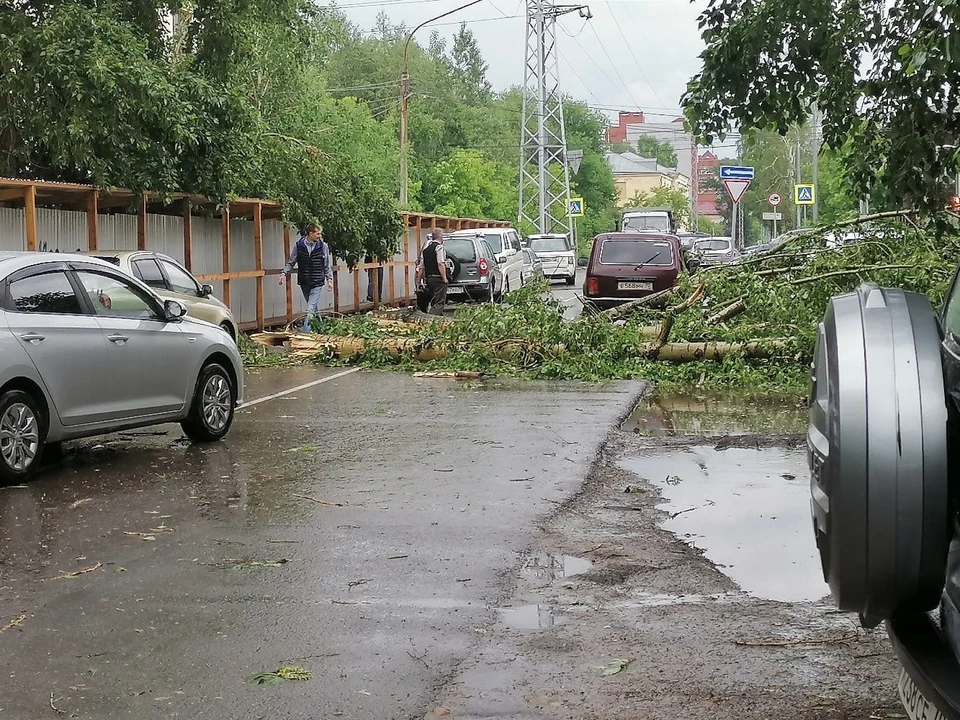 Упавшее дерево перегородило ул.Никитина. (фото "Регион70","Вконтакте")