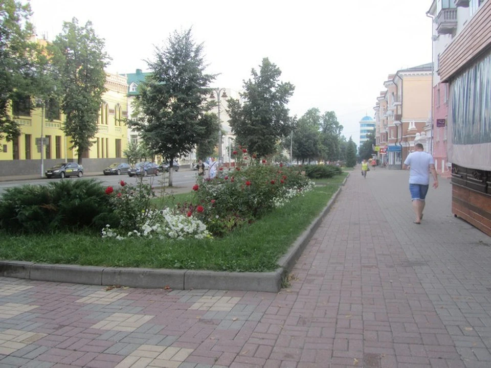 Будет тепло и дождливо