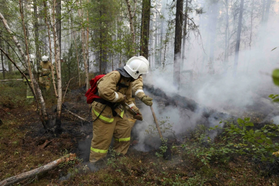 Природные пожары охватили больше шести тысяч гектаров в Хабаровском крае