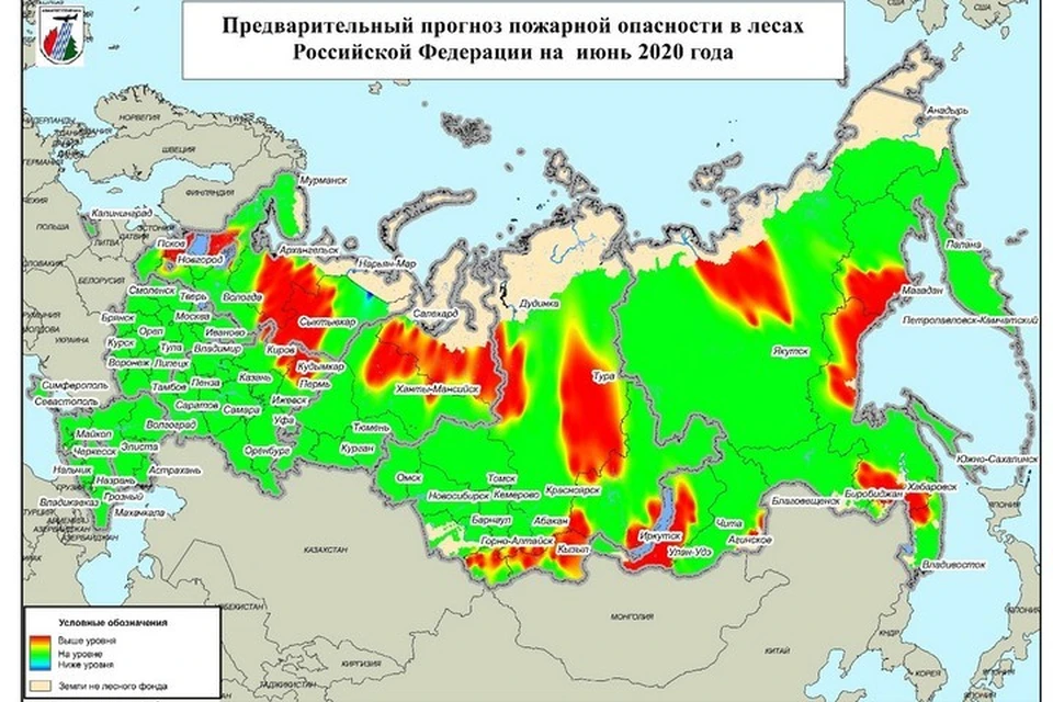 Приморье в зоне особого риска: лесные пожары в июне могут нанести серьезный ущерб экологии