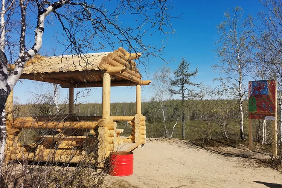 На Ямале появились новые зоны отдыха в лесах Фото: yanao.ru