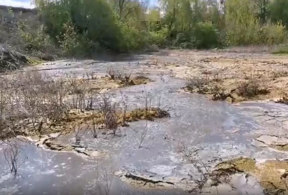 Фермер в Сергаче почти уничтожил местную реку. ФОТО: Сергей Якунин.