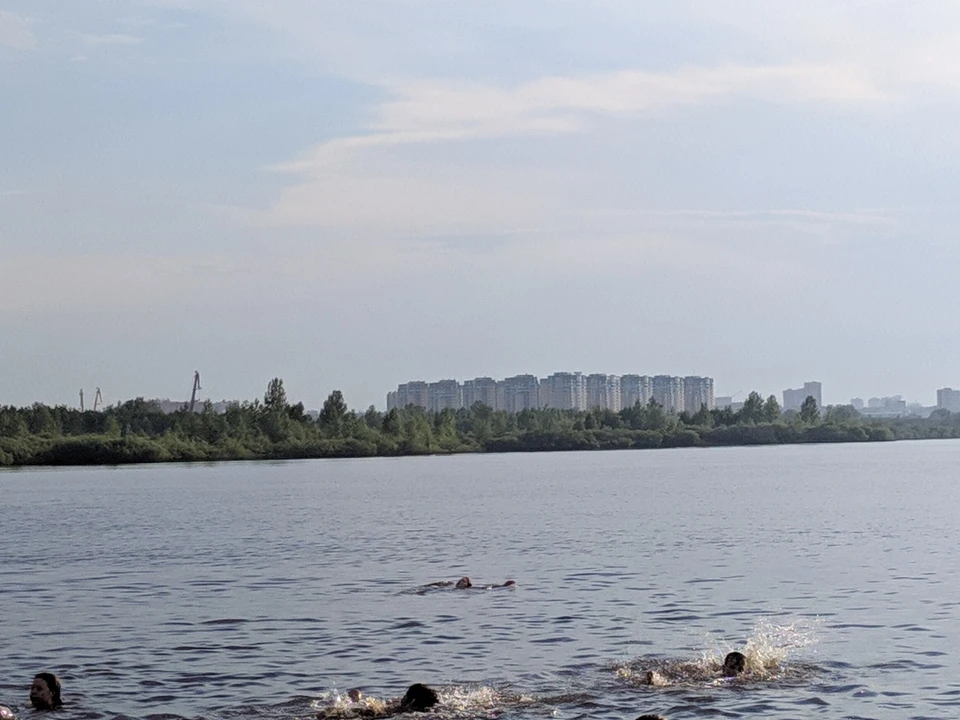 В озерах Тюмени проверили качество воды.