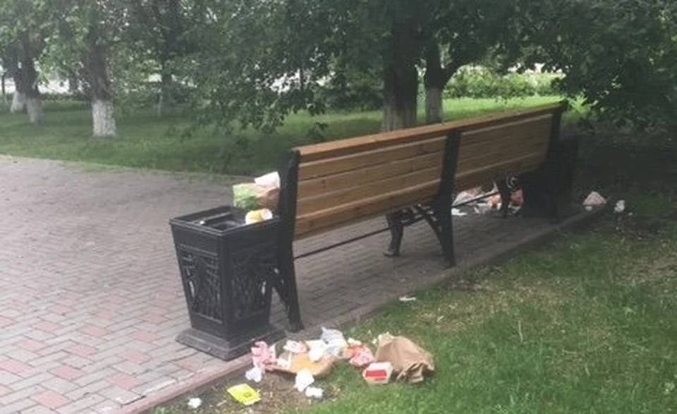 Уничтожение сирени, торчащие штыри и мусор: на что жалуются тюменцы? Фото - пресс-служба администрации города Тюмени.