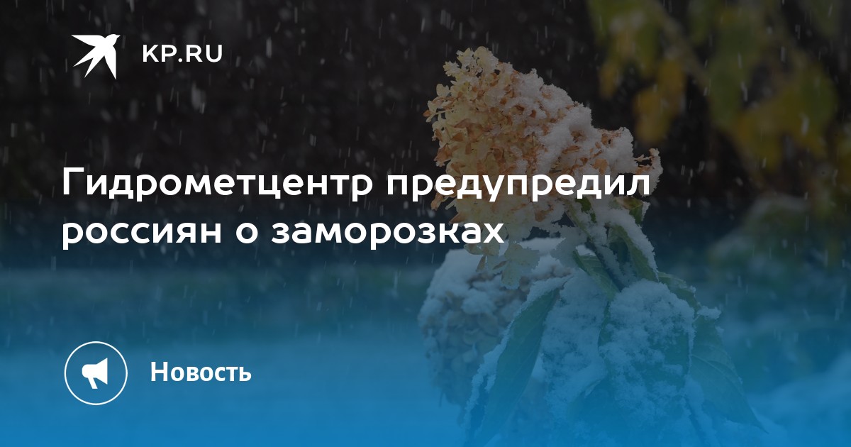 Уральский гидрометцентр. Гидрометцентр сообщил о заморозках 8 и 9 мая. Картинка Гидрометцентр предупреждает.