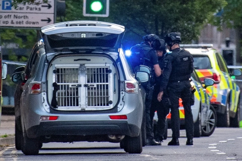 Нападение произошло в парке Форбери Гарденс в центре города Рединг