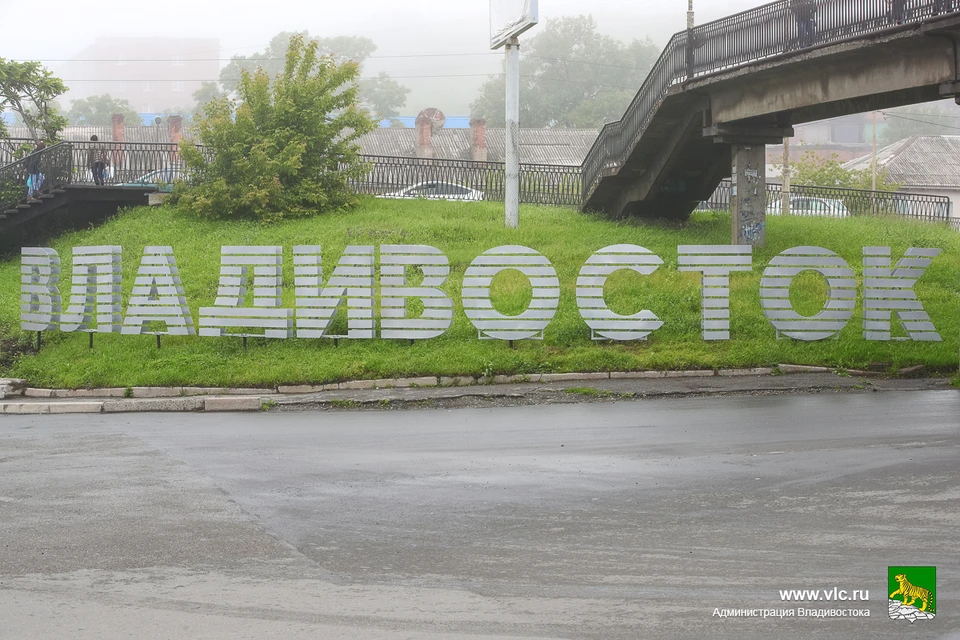 В Подмосковье появились необычные цветочные композиции в форме дорожных знаков