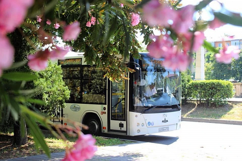 В Сочи появится три новых автобусных маршрута. Фото пресс-службы мэрии Сочи.