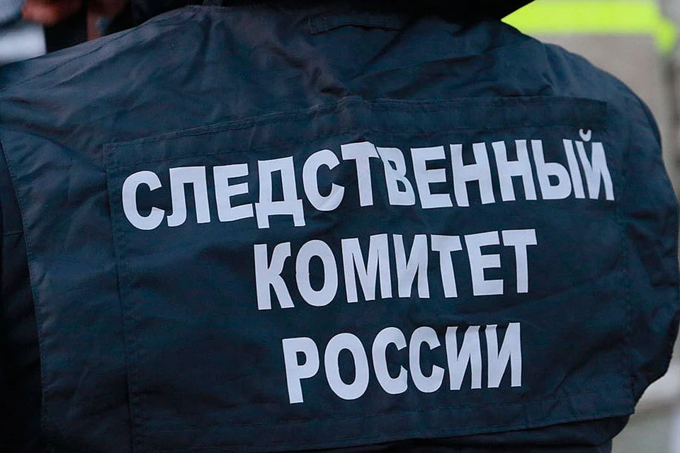 Девушка проживала у знакомой супружеской пары в Горно-Алтайске.
