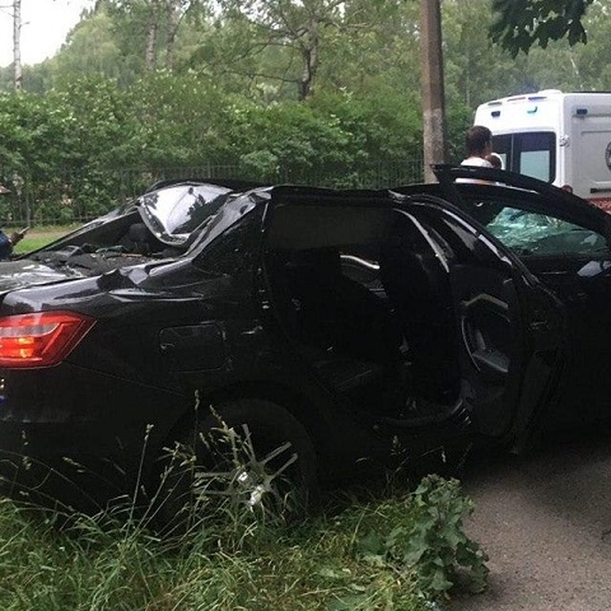 Дерево рухнуло на две машины с людьми во время шторма в Санкт-Петербурге -  KP.RU