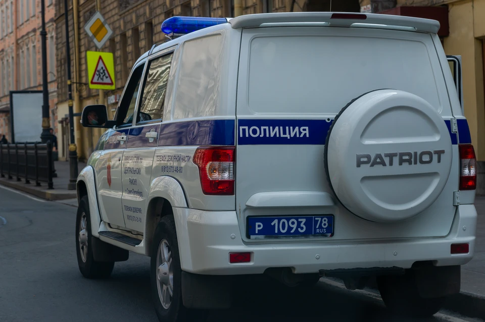 Задержан подозреваемый, нанесший смертельное ранение пожилой женщине в парке Александрино