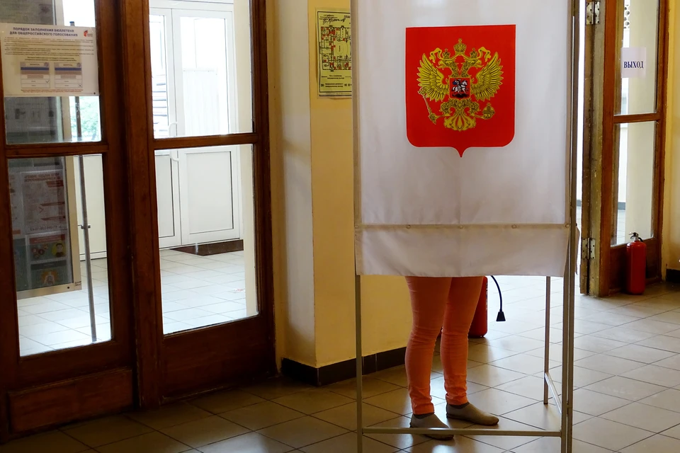Большинство липчан одобрили поправки в Конституцию