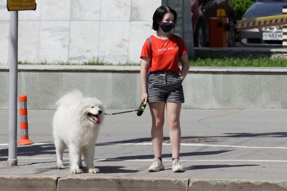 Четыре дня подряд основные показатели для изменения ограничений соответствуют второму этапу.