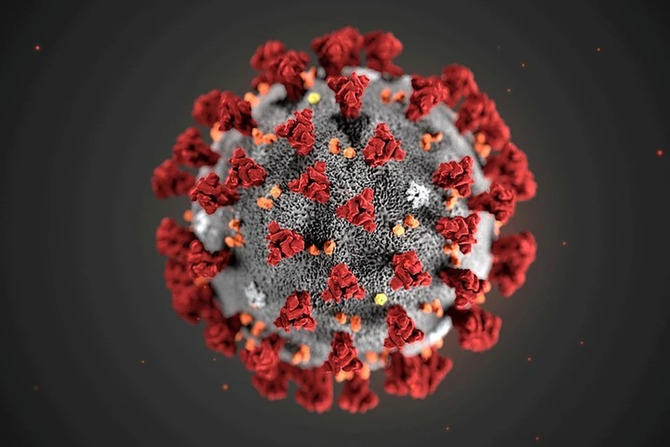 Осенью возможна новая вспышка коронавируса