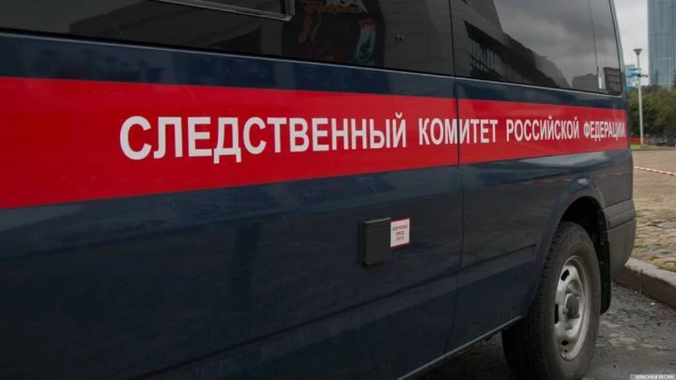 Глава СУ СК по Адыгее проведет прием граждан. Фото СК России