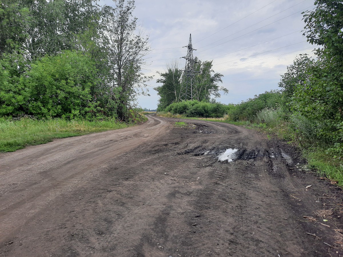 В Моршанске мужчину бросили на полевой дороге после ДТП: пострадавший умер  в реанимации - KP.RU