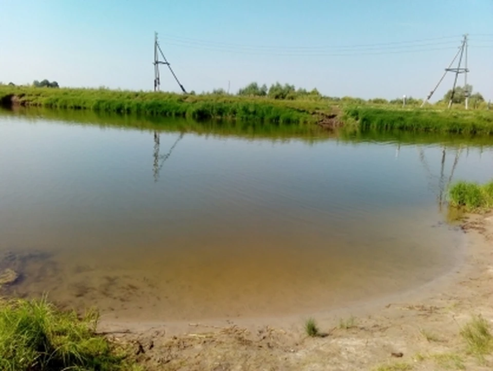 8-летняя тюменка утонула в реке Алабуча. Фото - СК по Тюменской области.
