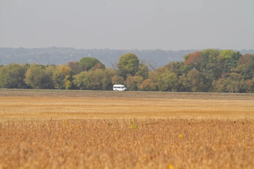 Село бахтияровка. Спк фермер. Спк фермер. Кооператив в сельском хозяйстве. Агрохолдинг степь ставропольский край.