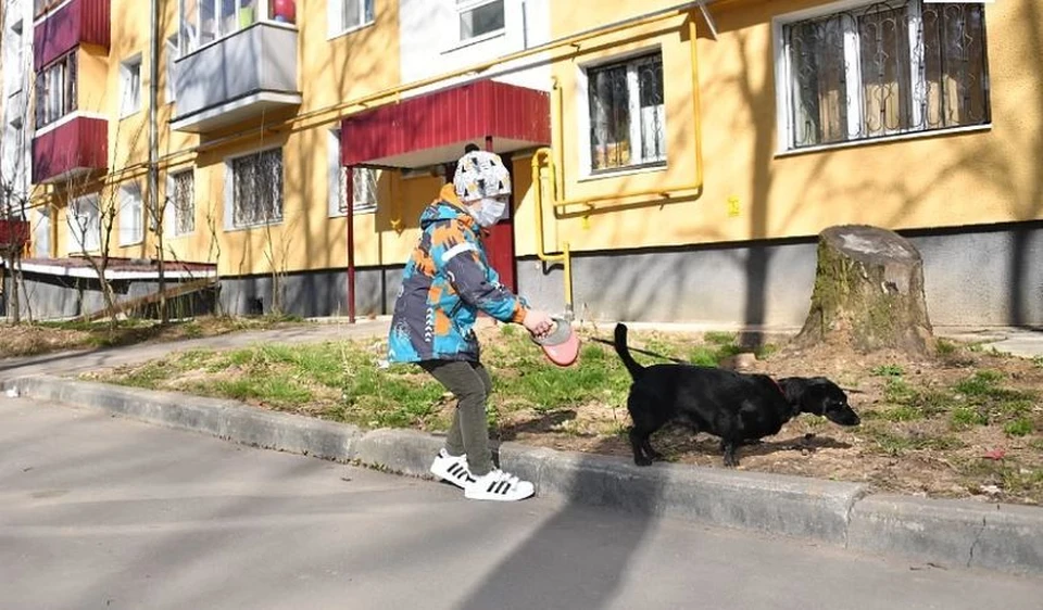 По закону при невозможности содержания владелец животного обязан передать его новому владельцу или в приют для животных.