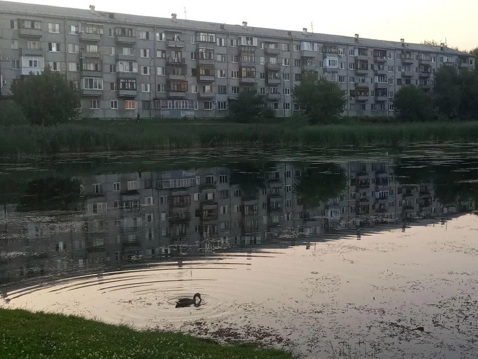 На Ямале в отдельных районах прогнозируют грозы