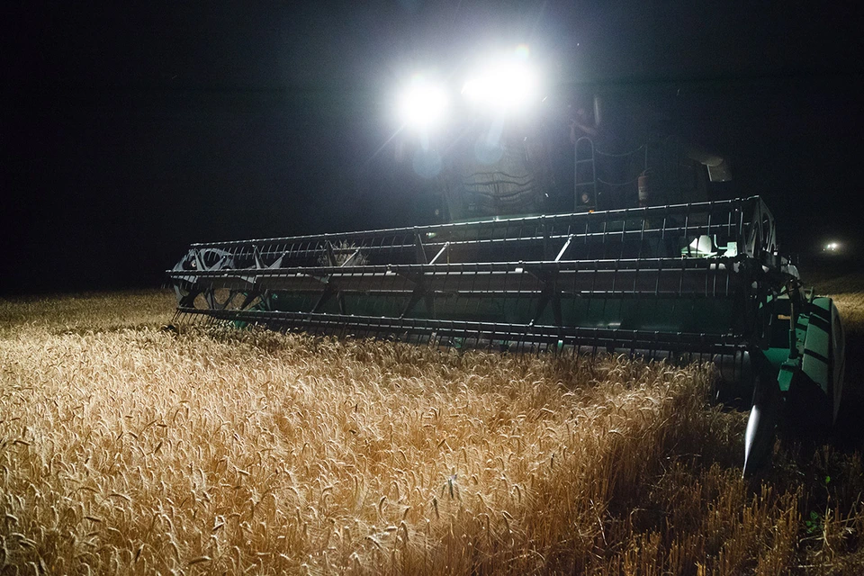 Многие страны уже стали зависимы от российской пшеницы, считают американские аналитики.