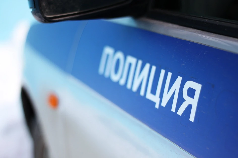 Полицейские проводят проверку