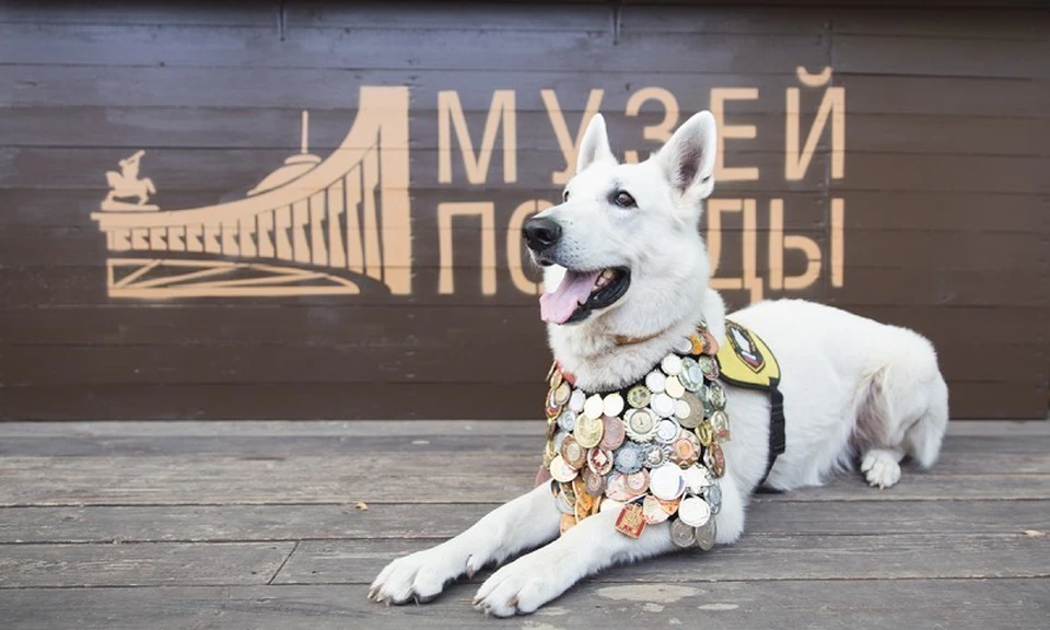 Фото ФГБУК «Музей Победы».