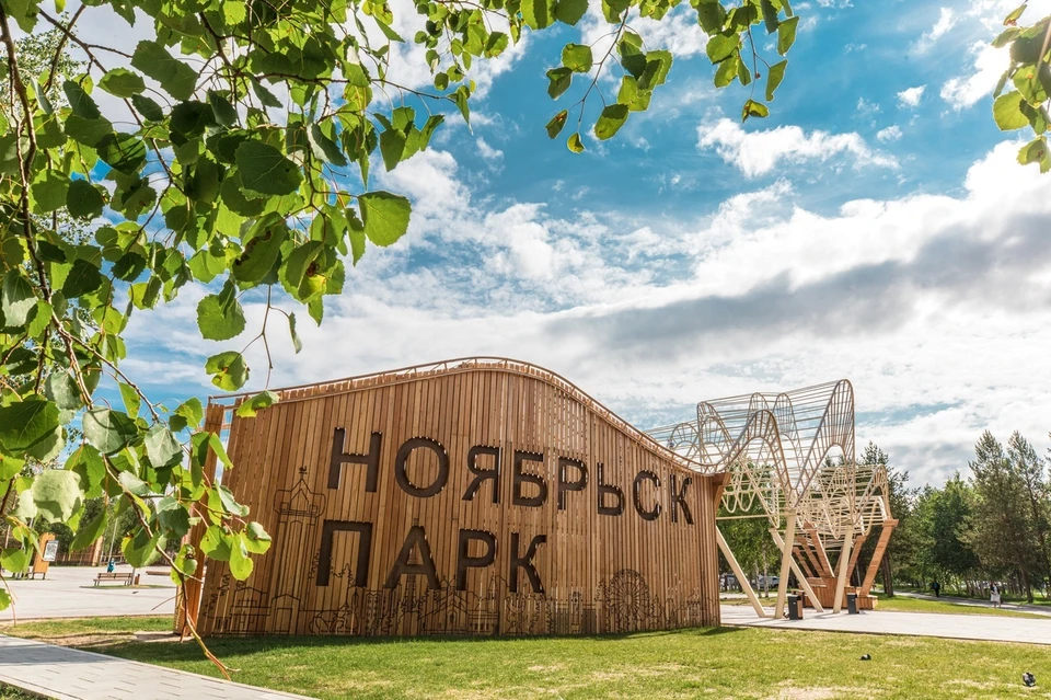 В Ноябрьске из-за юных поджигателей случилось 3 пожара в 2020 году Фото: admnoyabrsk.ru