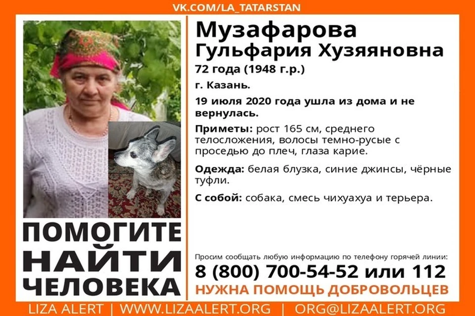 Фото: ПСО "Лиза Алерт"