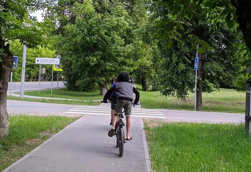 В Тюмени разработали систему городского велопроката.
