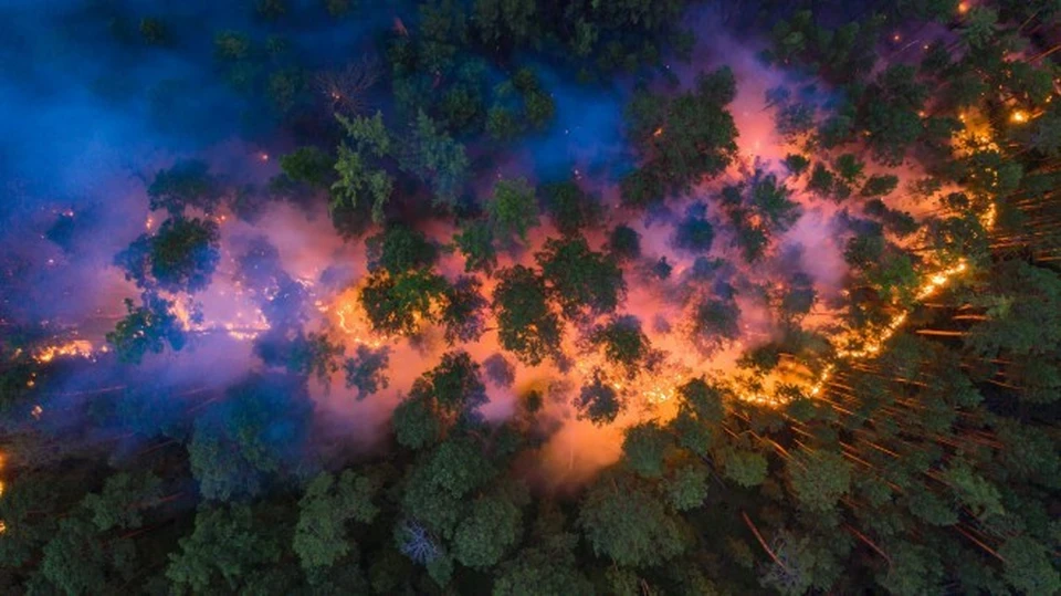 Пожары в красноярской тайге Фото: Greenpeace, Юлия Петренко