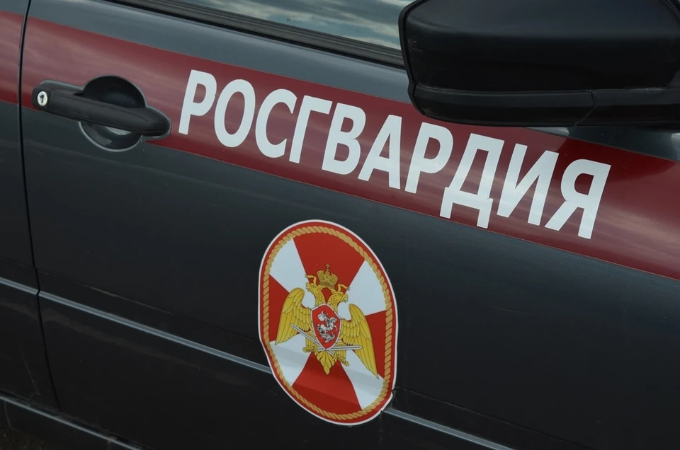 Фото: Ольга СУПОНЕВА