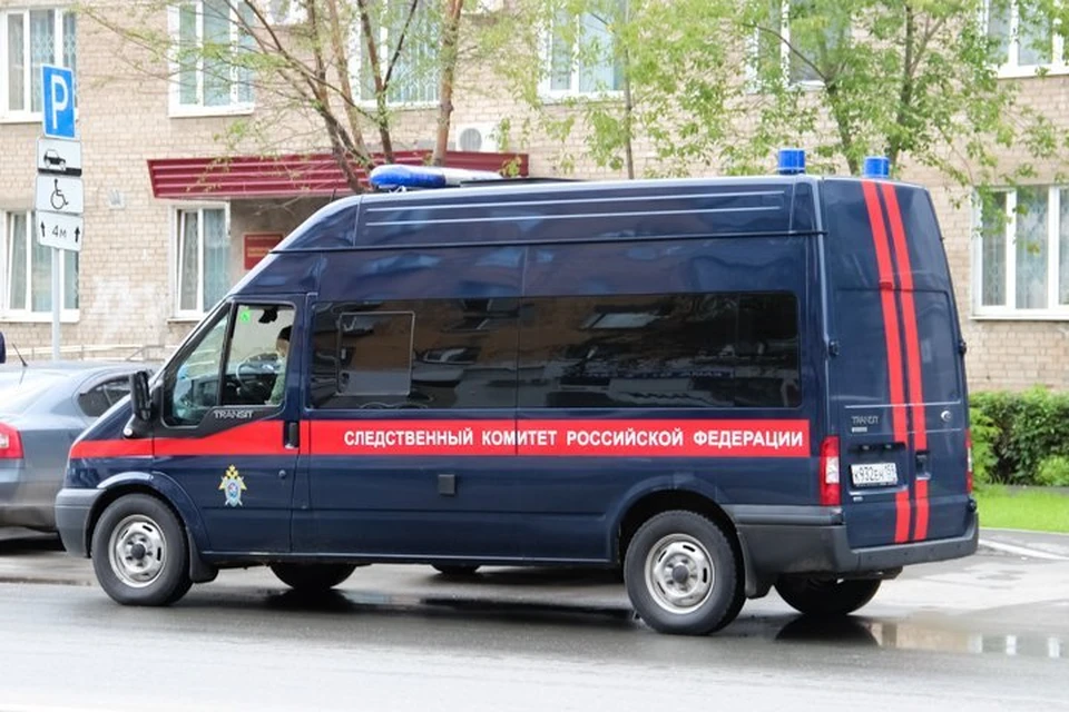 Следователи возбудили уголовное дело по статье "Убийство малолетнего".