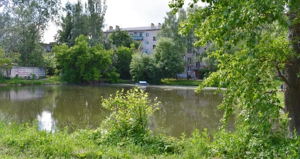 фото предоставлено Доброштабом