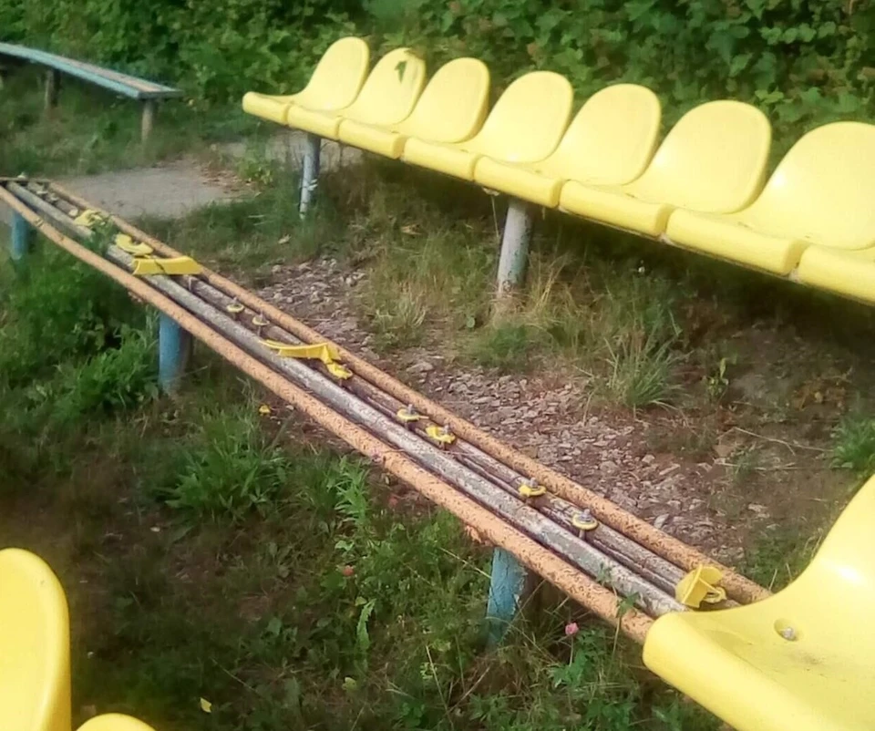Фото: соцсети