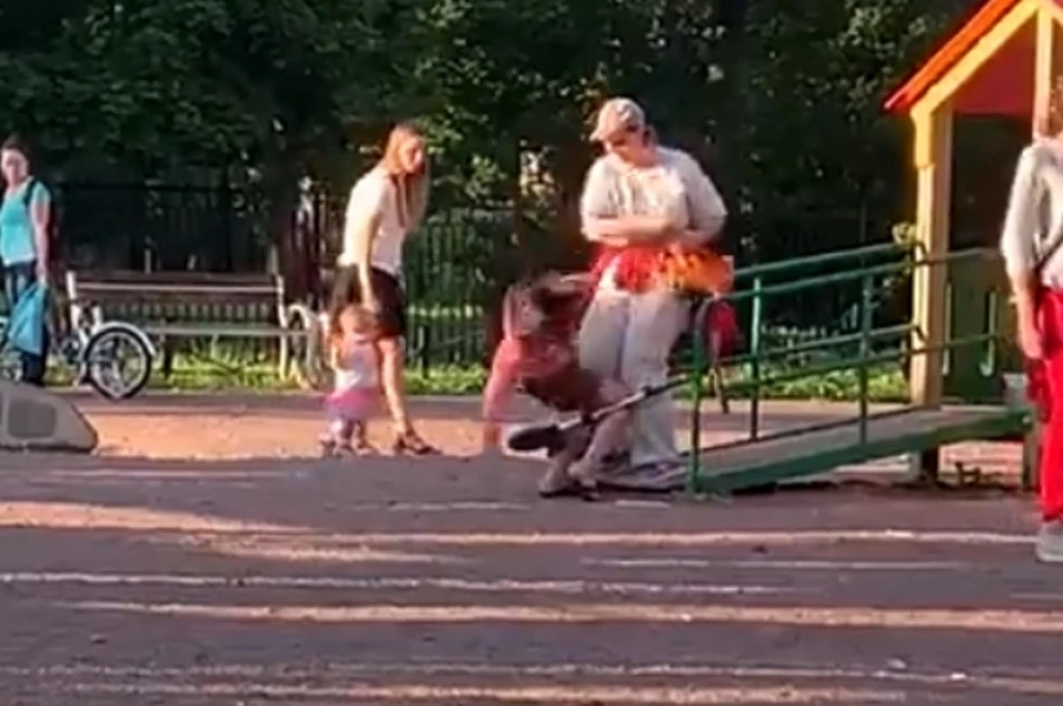 Женщина подралась с девочкой на детской площадке в Санкт-Петербурге. Фото: vk.com/veselyposelok