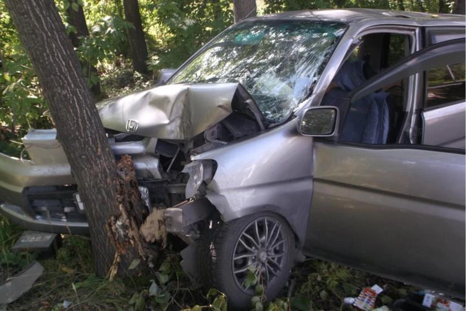 Есть пострадавшие: В Новокузнецке иномарка въехала в дерево. ФОТО: отдел пропаганды областной Госавтоинспекции