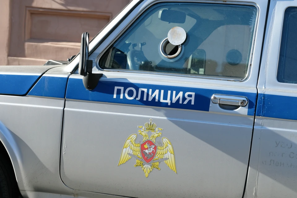 Жителя Кудрово застрелил в лесу рыжебородый мужчина
