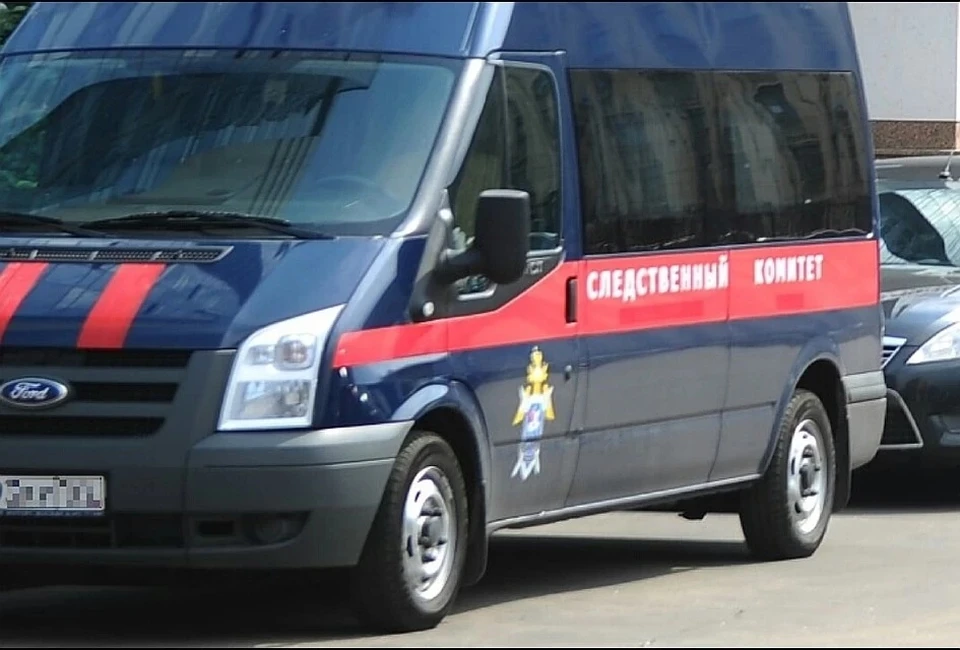 Против подозреваемого возбудили уголовное дело по статье «Убийство». Сейчас он находится под стражей