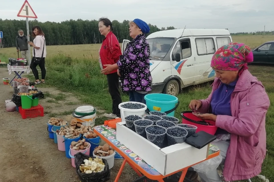 Дары леса на трассе Кыштым - Челябинск.