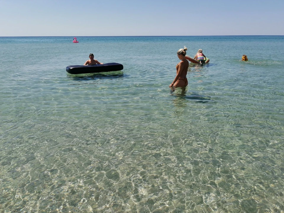 Черное море прогрелось до + 25°.