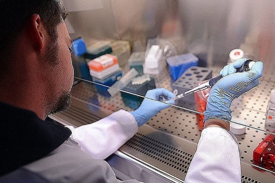Ранее сообщалось, что разрабатываемые в США вакцины от коронавируса вряд ли будут зарегистрированы к ноябрю