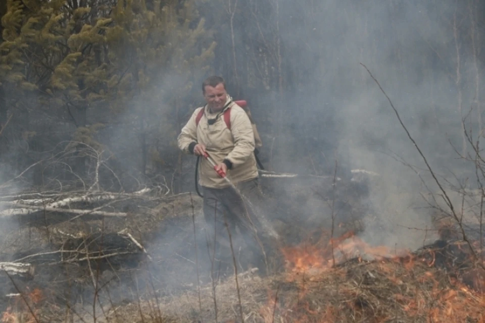 Из-за молнии в Кузбассе загорелись леса
