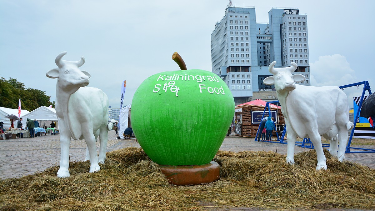 Фестиваль Kaliningrad Street Food у Дома Советов будет, но в новом формате  - KP.RU