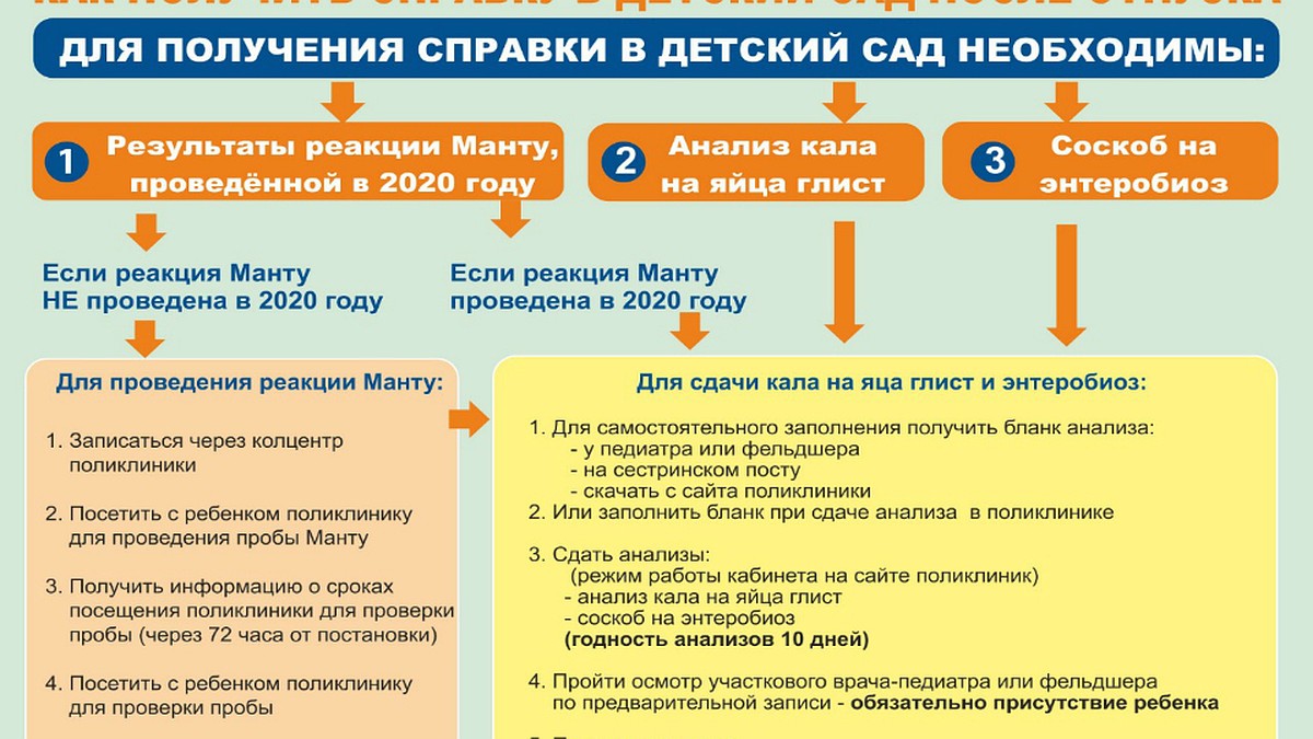 Какие анализы надо сдавать в детский сад и школу в Мурманской области -  KP.RU